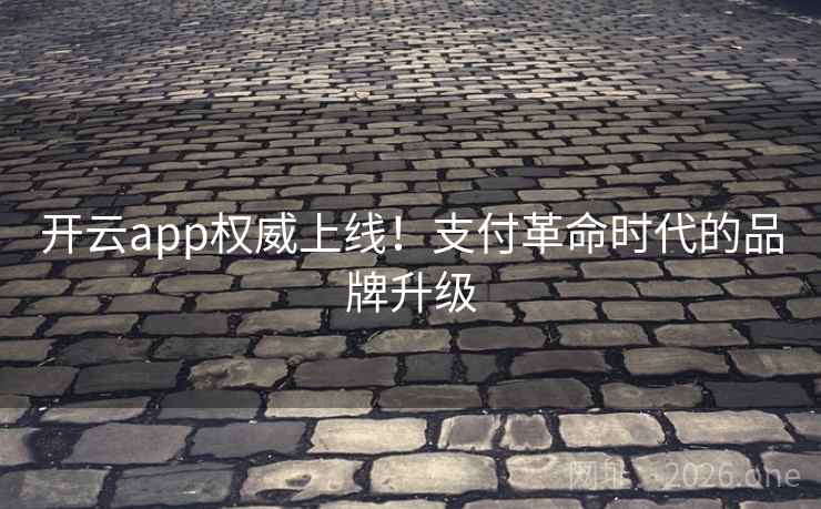 开云app权威上线！支付革命时代的品牌升级