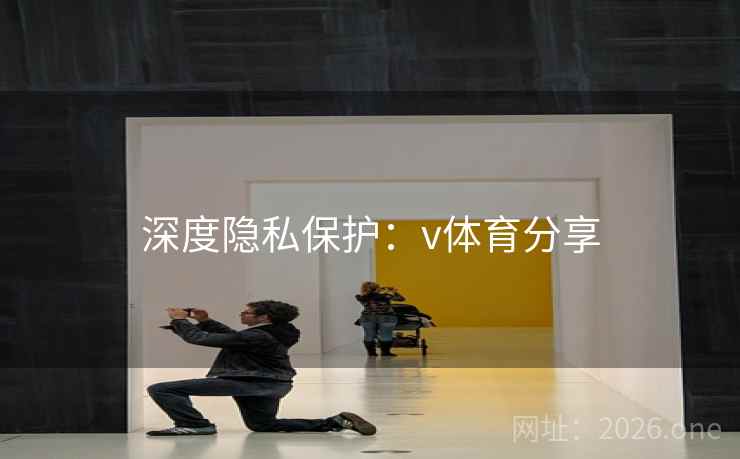 深度隐私保护：v体育分享