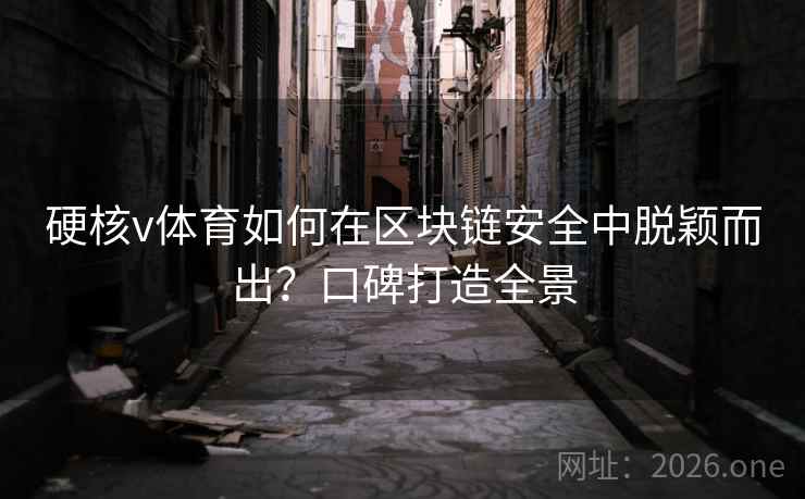 硬核v体育如何在区块链安全中脱颖而出？口碑打造全景