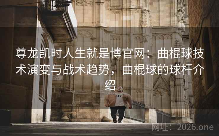 尊龙凯时人生就是博官网:曲棍球技术演变与战术趋势,曲棍球的球杆介绍 尊龙凯时人生就是博官网:曲棍球技术演变与战术趋势,曲棍球的球杆介绍