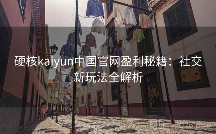 硬核kaiyun中国官网盈利秘籍：社交新玩法全解析