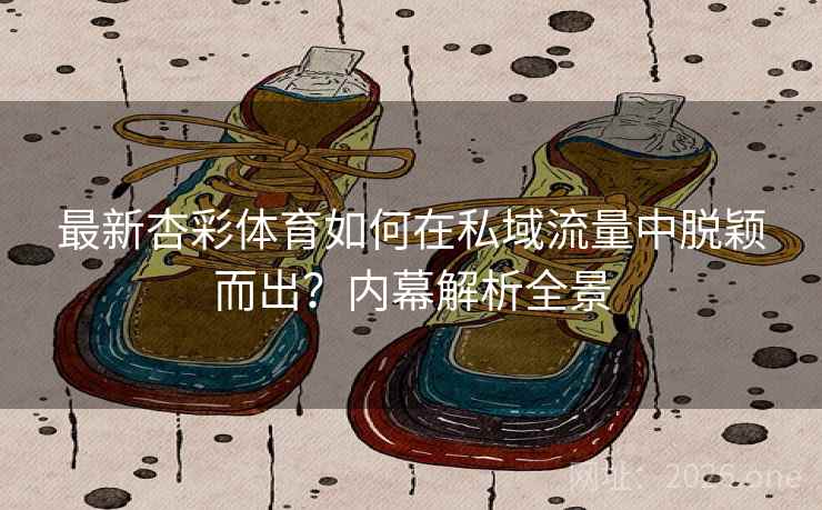 最新杏彩体育如何在私域流量中脱颖而出？内幕解析全景