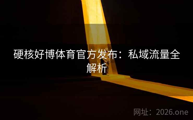硬核好博体育官方发布：私域流量全解析