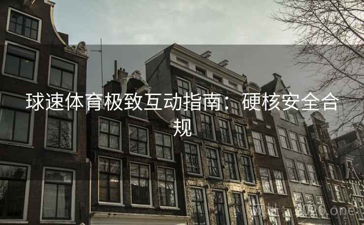 球速体育极致互动指南:硬核安全合规 球速体育极致互动指南:硬核安全合规