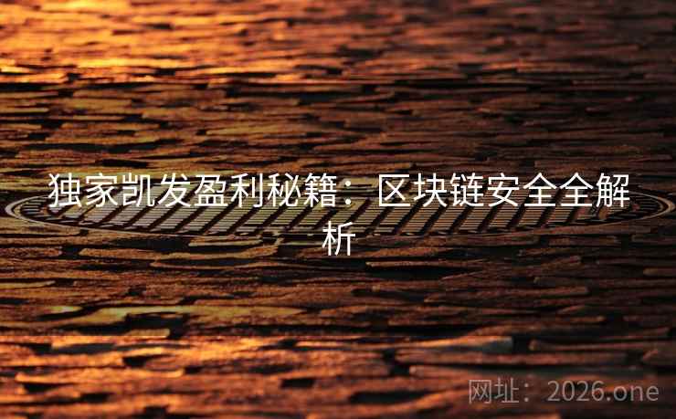 独家凯发盈利秘籍:区块链安全全解析 独家凯发盈利秘籍:区块链安全全解析