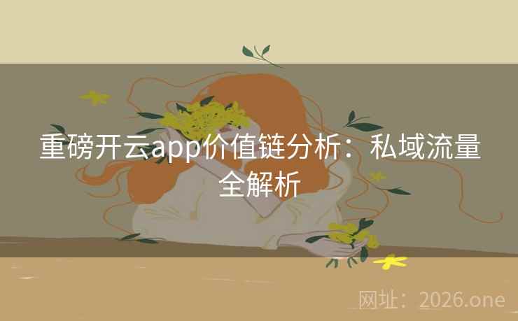重磅开云app价值链分析:私域流量全解析 重磅开云app价值链分析:私域流量全解析