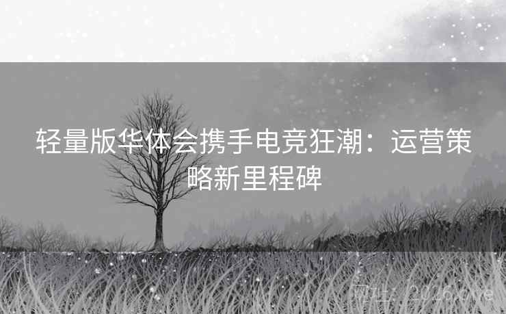 轻量版华体会携手电竞狂潮：运营策略新里程碑