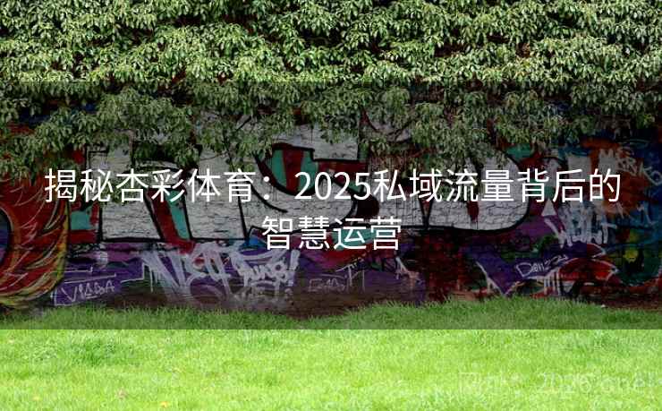 揭秘杏彩体育：2025私域流量背后的智慧运营