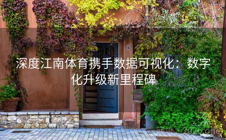 深度江南体育携手数据可视化：数字化升级新里程碑