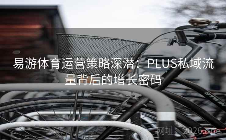 易游体育运营策略深潜：PLUS私域流量背后的增长密码