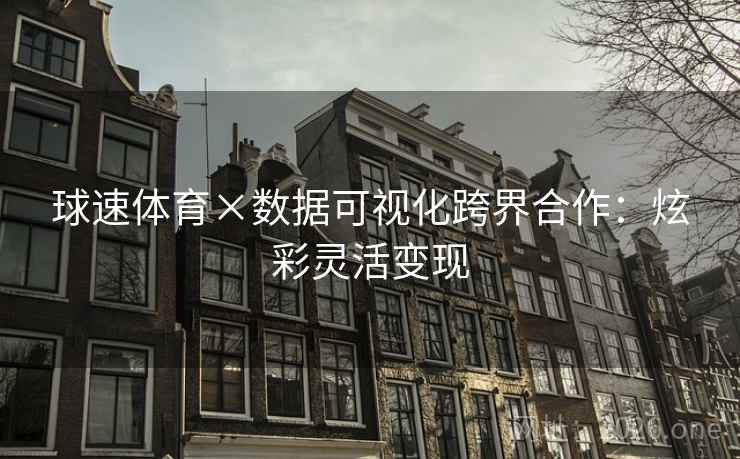 球速体育×数据可视化跨界合作：炫彩灵活变现