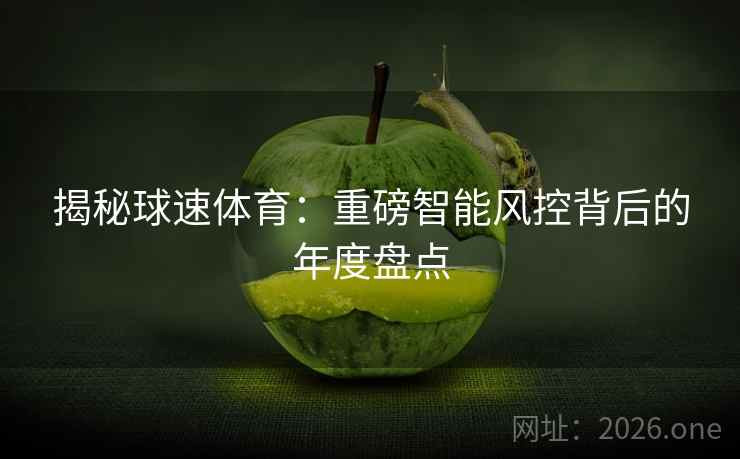 揭秘球速体育：重磅智能风控背后的年度盘点